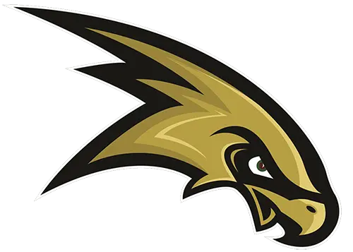 Corning-Painted Post Football